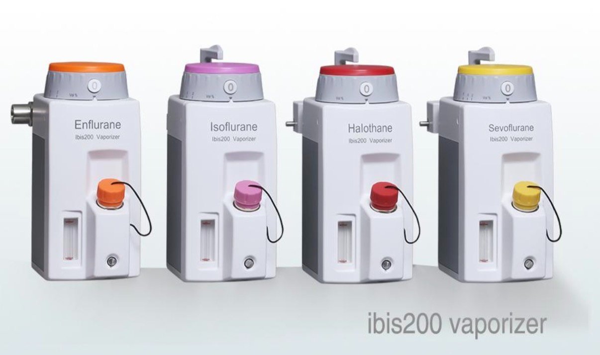 69e2b1fba7ec754b738c79f0_high-resolution_1783187417244.jpg